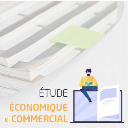Etude Economique et Commercial